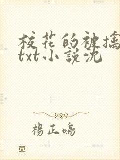 校花的被擒日常txt小说沈封面