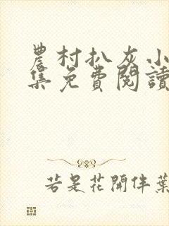 农村扒灰小说全集免费阅读