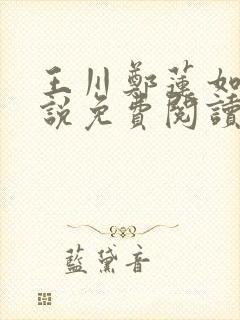 王川郑莲如的小说免费阅读全文封面