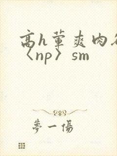 高h荤爽肉欲文〈np〉sm