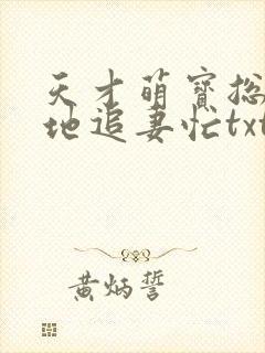 天才萌宝总裁爹地追妻忙txt