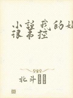 小说 我的姐姐很弟控