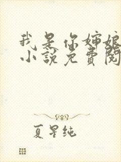 我是你婶娘妈妈小说免费阅读封面