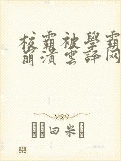 校霸被学霸玩到崩溃云译网