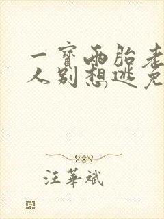 一宝两胎老婆大人别想逃免费阅读