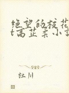 绝望的校花txt高芷柔小说
