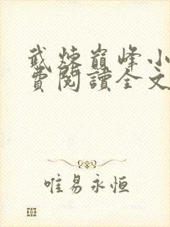 武炼巅峰小说免费阅读全文无删减
