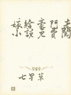 嫁给豪门老男人小说免费阅读全文封面