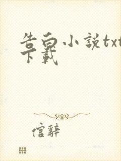 告白小说txt下载