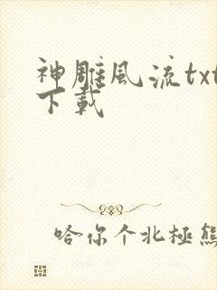 神雕风流txt下载