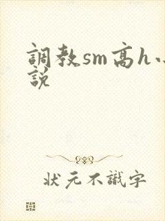 调教sm高h小说