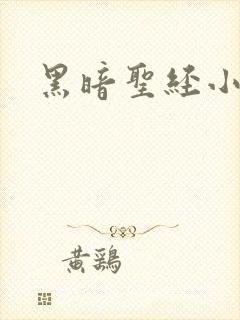 黑暗圣经小说