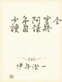 少年阿宾全文阅读目录册