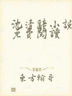 沈清辞小说全文免费阅读