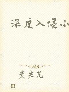 深度入侵小说