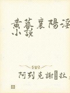 黄蓉襄阳淫史 小说封面