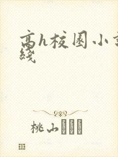 高h校园小说在线