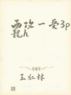 两攻一受3p双龙h
