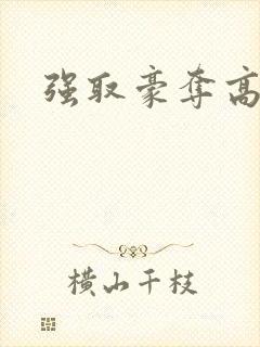 强取豪夺高干文