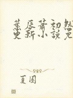 叶辰萧初然最新更新小说免费阅读