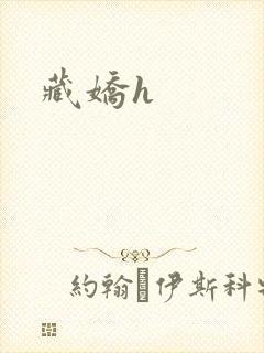 藏娇h