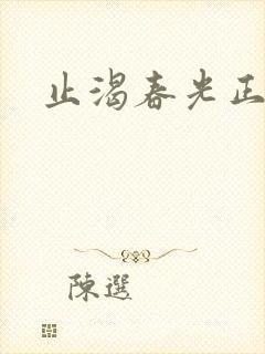 止渴春光正好封面