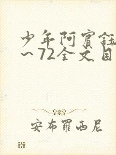 少年阿宾钰慧1～72全文目录免费阅读