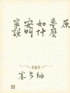 宁安如梦原著小说叫什么