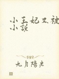 小王妃又被揍啦小说