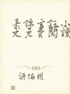 素锦玄钰小说全文免费阅读