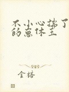 不小心揣了室友的崽休玉