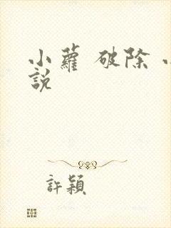 小萝 破除 小说封面