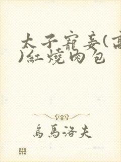 太子宠妾(高肉)红烧肉包