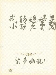 我的媳妇是苏玥小说免费阅读