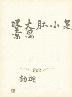 眼大肚小是什么意思封面
