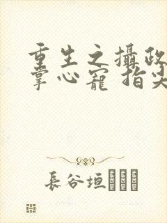 重生之摄政王的掌心宠 指尖方寸封面