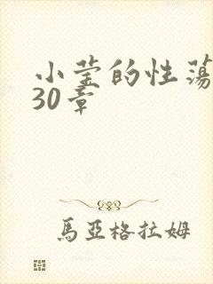 小莹的性荡生活30章