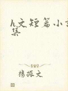 h文短篇小说合集封面