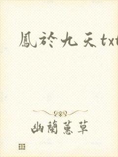 凤于九天txt
