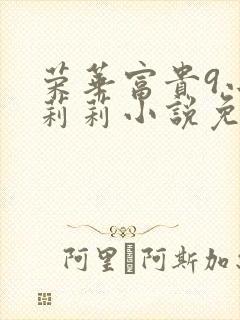 荣华富贵9小王莉莉小说免费阅读