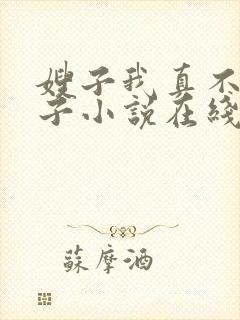 嫂子我真不是傻子小说在线阅读封面
