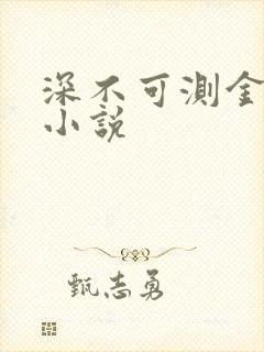 深不可测金银花小说封面