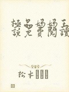 极品妈妈王伟小说免费阅读全文最新