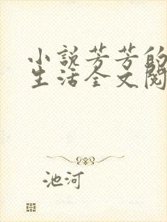 小说芳芳的幸福生活全文阅读