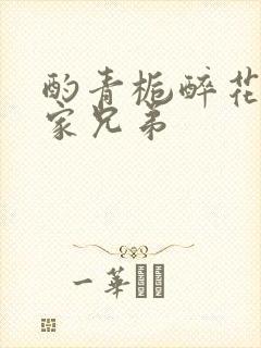酌青栀醉花阴贺家兄弟封面