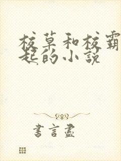 校草和校霸在一起的小说