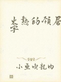 火热的领居中文字