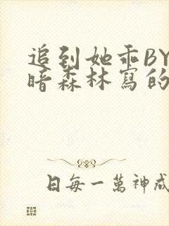 追到她乖BY黑暗森林写的小说
