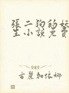 张二狗的妖孽人生小说免费阅读封面