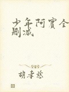 少年阿宾全文无删减封面